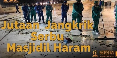 Jutaan Jangkrik Serbu Masjidil Haram