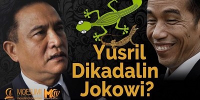 Yusril Dikadalin Jokowi?