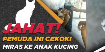 JAHAT! PEMUDA INI CEKOKI MIRAS KE ANAK KUCING