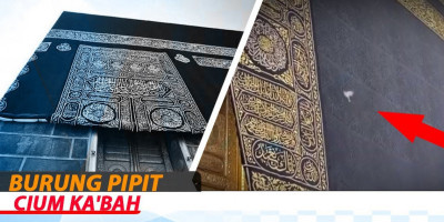 Burung Pipit Cium Ka'bah