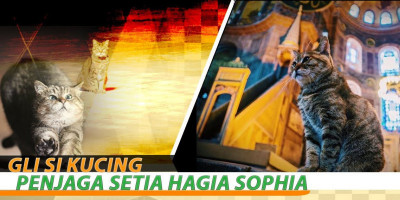 Gli Si Kucing Penjaga Setia Hagia Sophia