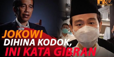 GIBRAN RESPON HINAAN JOKOWI KODOK