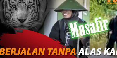 Seorang Musafir Naik Macan Putih